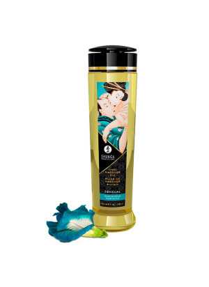 Eroottinen hierontaöljy Sensual, 240 ml - Shunga | SHUNGA OILS | Maustamattomat hierontaöljyt