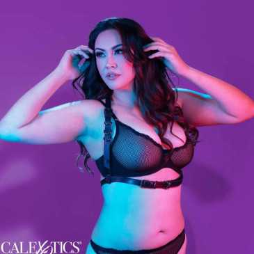 Euphoria Collection Halter Buckle Harness Plus Size - Calex | CALIFORNIA EXOTICS | Muoti